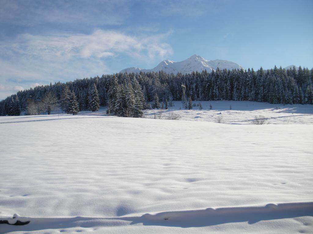 Haus Hubertus Apartamento Hochfilzen Exterior foto